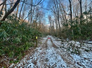 Powder Branch Rd LOT WP001, Elizabethton, TN 37643