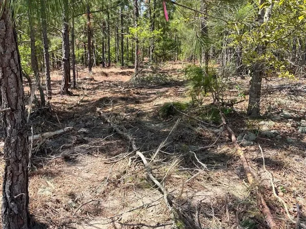 Bdf 1 Beaverdam Rd #Bdf-1, Cassatt, SC 29032