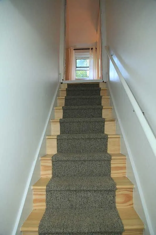 933 Spruce St — Photo 4