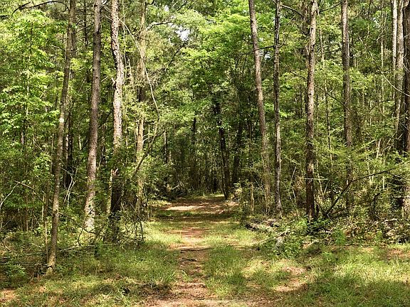 2nd image of Hepzibah Rd