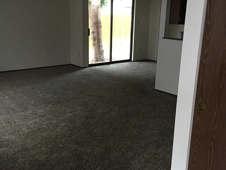 1205 Ivy Ave — Photo 6