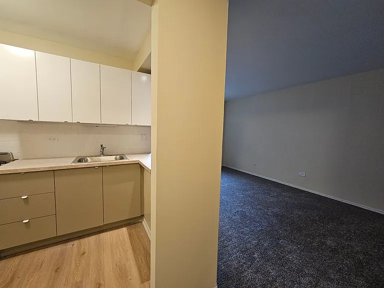 Lincoln Park Living! — Photo 28