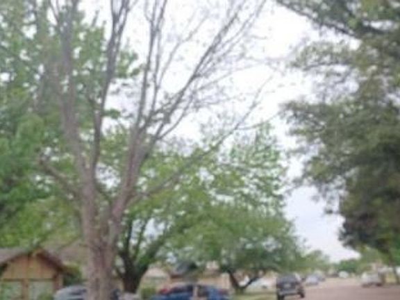 Exterior Neighborhood (street photo)