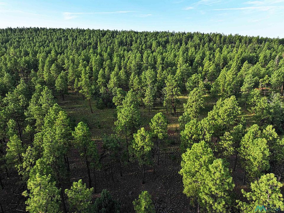 1st image of Forest Rd #157