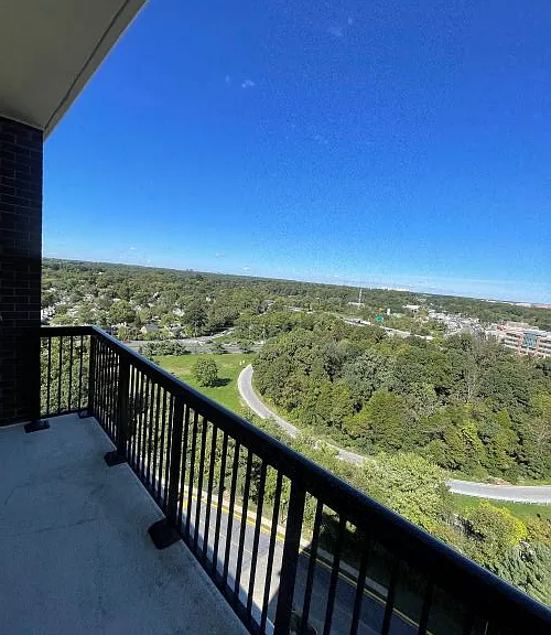 9727 Mount Pisgah Rd — Photo 220