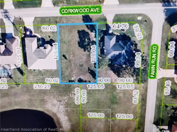 21 Corkwood Ave, Lake Placid, FL 33852