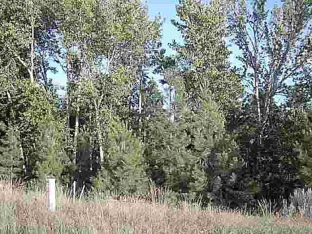 2nd image of Nhn Prairie Ln