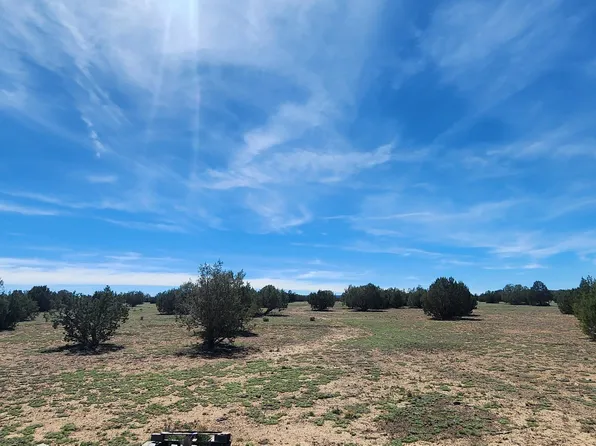 0 N X Rd, Ash Fork, AZ 86320