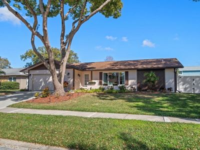 1883 Brae Moor Dr, Dunedin, FL, 34698