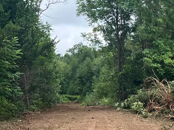 Bluebird Trl, Webster, WI 54893