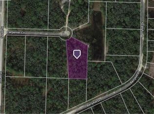 34196 Carpenter Cir #13, Webster, FL 33597