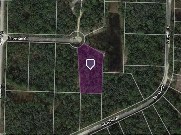 34196 Carpenter Cir #13, Webster, FL 33597