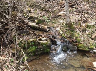 450 E Cullisia Rd, Bryson City, NC 28713