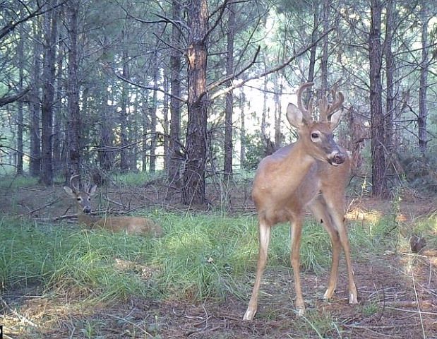1st image of 8140 Ga Highway 122 W