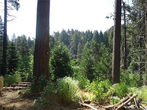 3rd image of 26650 State Highway 189 Unit 1