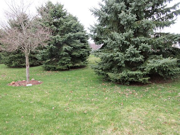 Lovely backyard