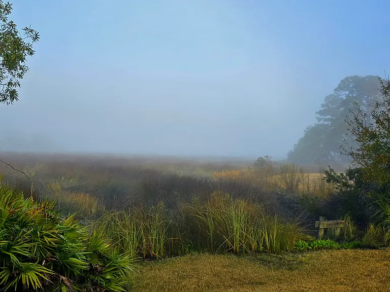 View from the deck
Morning fog over the marsh
