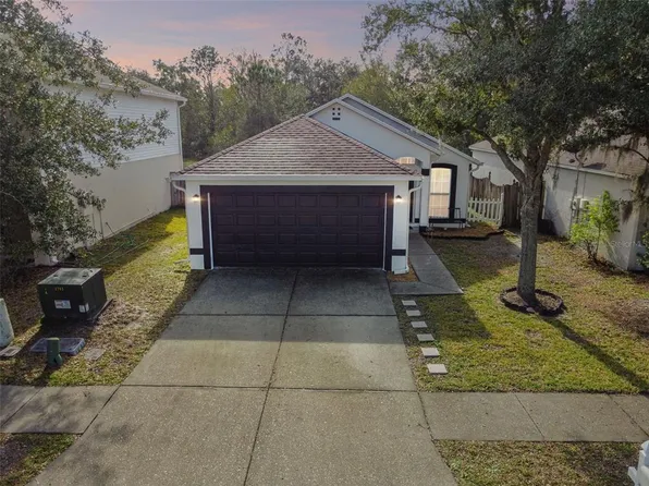30626 Birdhouse Dr, Wesley Chapel, FL 33545
