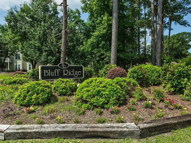 Bluff Ridge — Photo 42