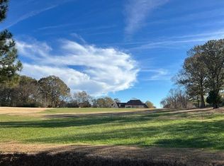 250 S Monterey Mills Cv, Collierville, TN 38017