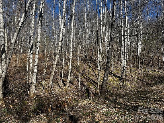 4th image of 0 Grace Ridge Rd