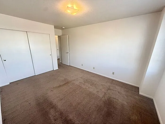 4850 Basswood Dr — Photo 12