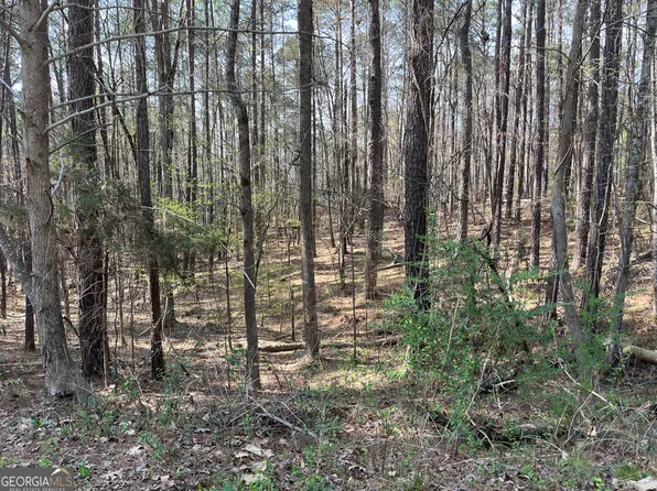 0 Bluejay Ct #64, Monticello, GA 31064