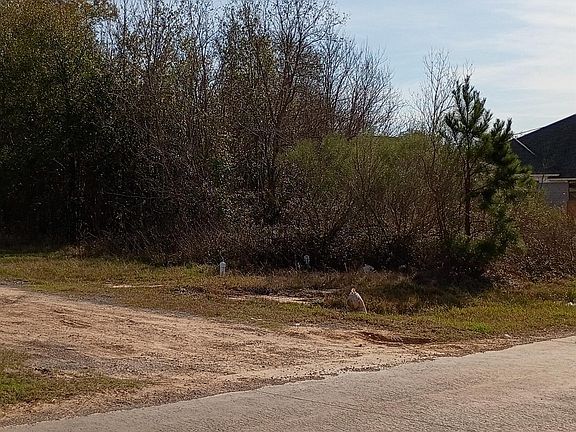 3rd image of 425 County Road 5041