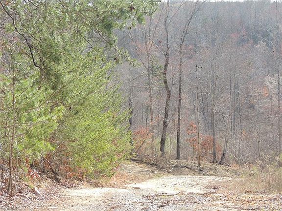 5th image of 5328 Shady Hollow Rd