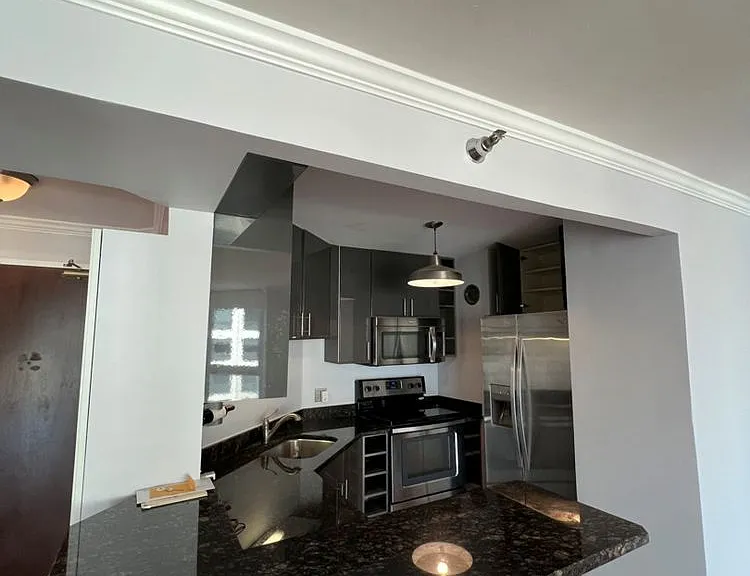 195 N Harbor Dr #3807 — Photo 11