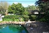 5th image of 4530 Charleston Dr