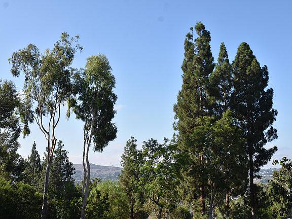 View from patio/deck.