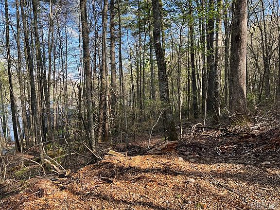 3rd image of Lot 13 S Woods Mountain Trail