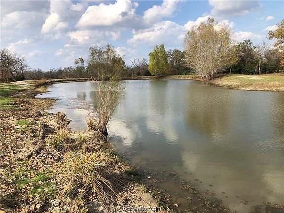 4th image of 32.97 ACRES E Cr 121