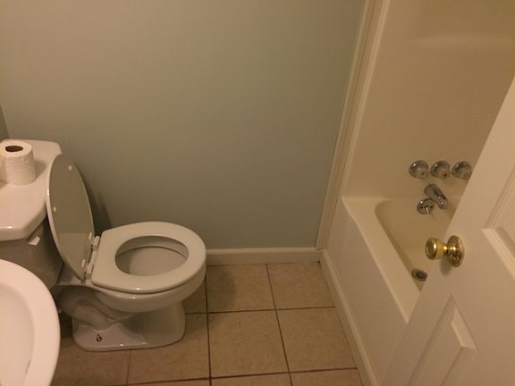 Hall bathroom (Full)