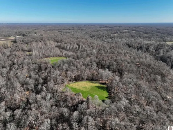 0 County Road 1320, Bardwell, KY 42023