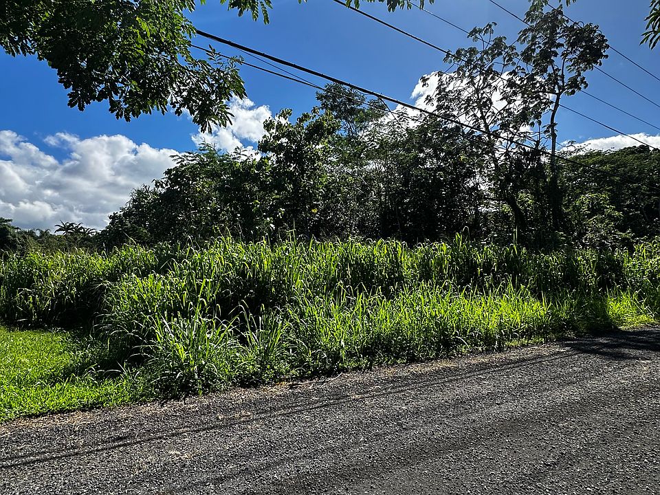 1st image of 13th Ave Lot 530