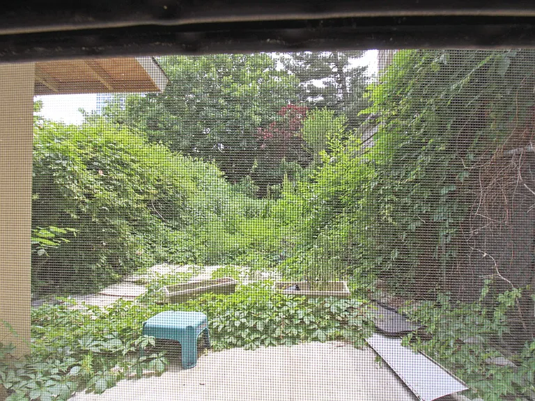 51.5 Cottage St #3E — Photo 10
