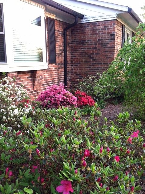 1st image of 3724 Southwood Dr