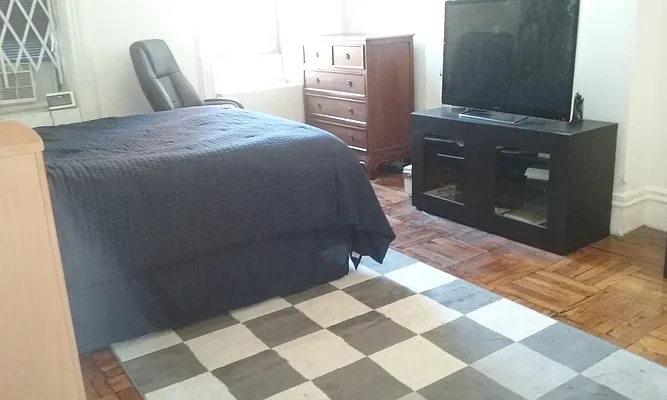 Rented by High Line NYC Realty Group | media 16