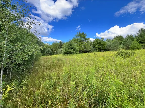 LOT 8 S Greenbush Rd Lot 8, Erin, NY 14838