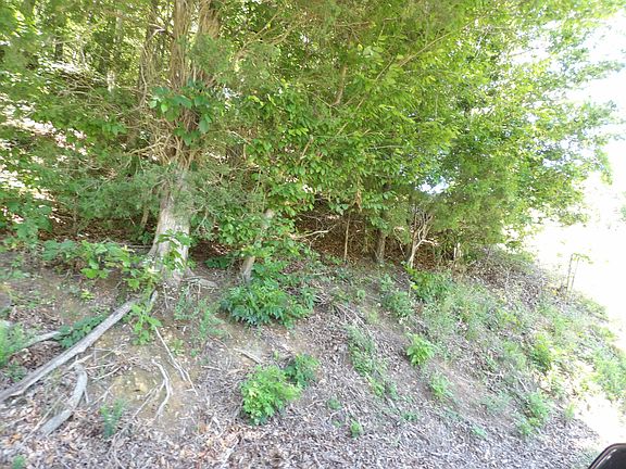 5th image of 587 W Little Richland Rd