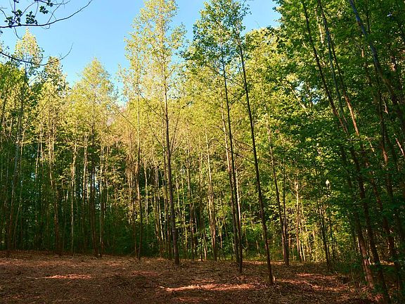 2nd image of 0 Hodges Dairy Rd #3