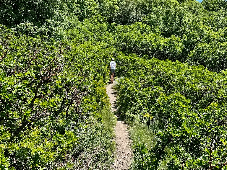 Trails nearby