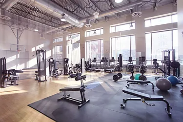 Rented by Gotham Organization