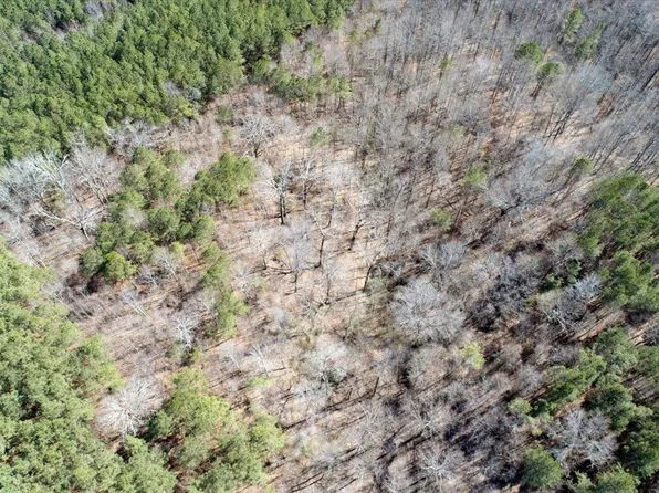 0 County Road 1162, Cullman, AL 35057