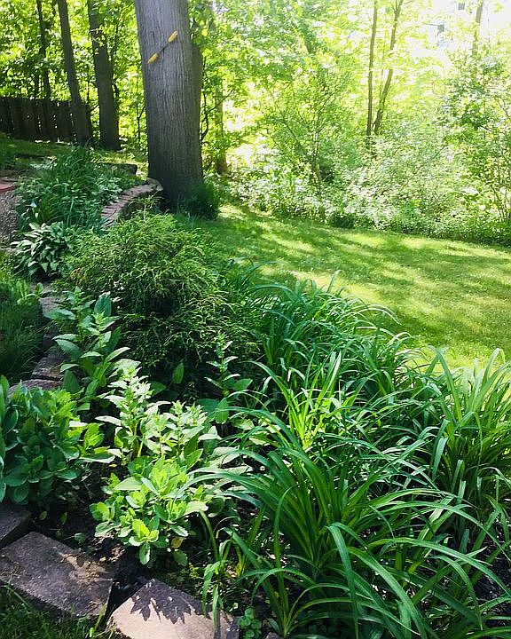 2nd image of 29241 Nehls Park Dr