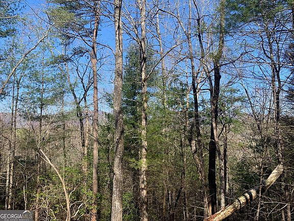 5th image of 0 E New Hope Rd Tract B