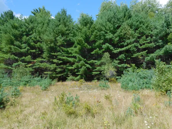 29 Robinson Boulevard, Medway, ME 04460