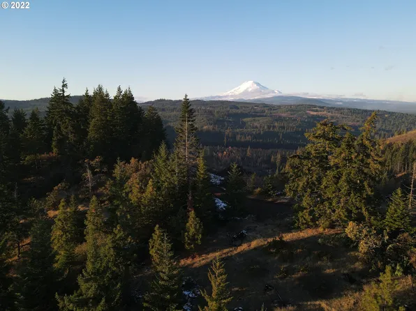 Rattlesnake Rd, White Salmon, WA 98672